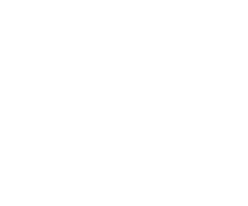 Delivery Icon